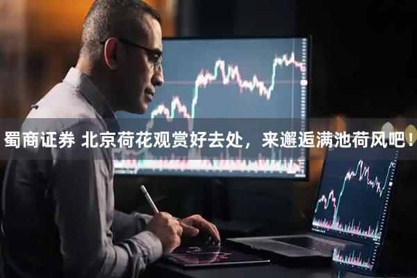 蜀商证券 北京荷花观赏好去处,来邂逅满池荷风吧!